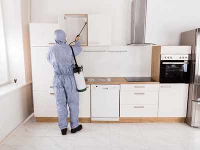About Pest Control Experts - pest control services experts in Massachusetts