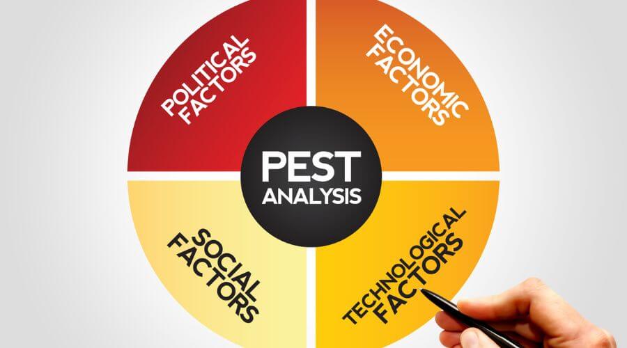 Professional pest control services services in Massachusetts